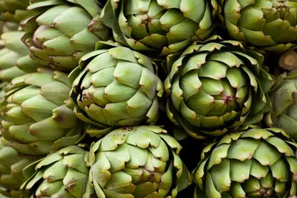 Artichoke - Image 4