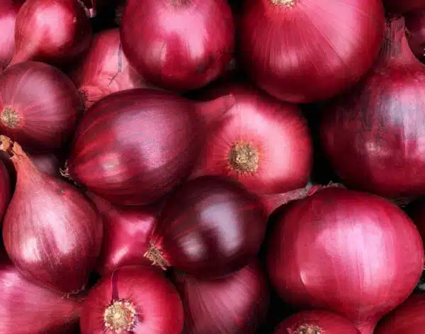Red Onion