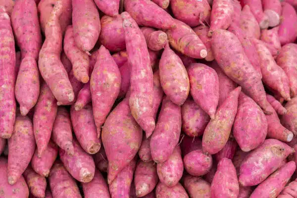 Sweet Potato