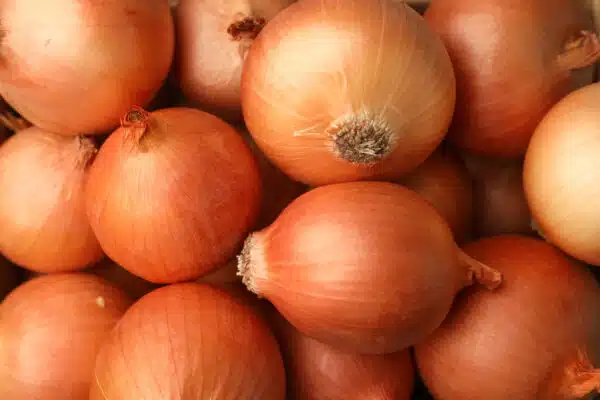 Yellow Onion