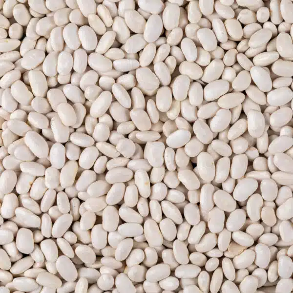 White kidney beans
