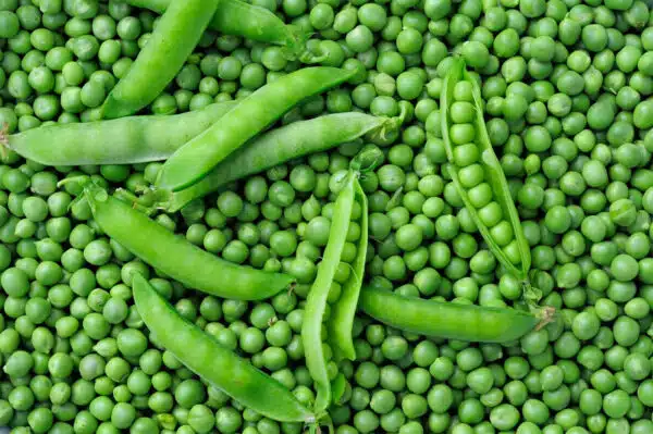 Peas - Image 3