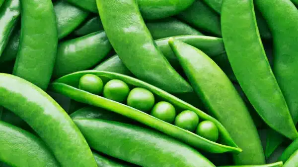 Peas - Image 2