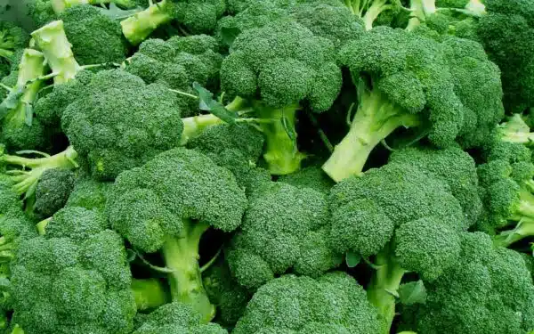 Broccoli - Image 3