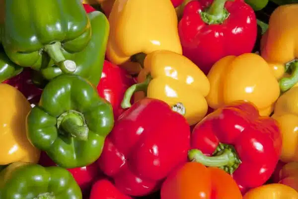 Bell Pepper