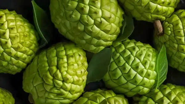 Custard apple