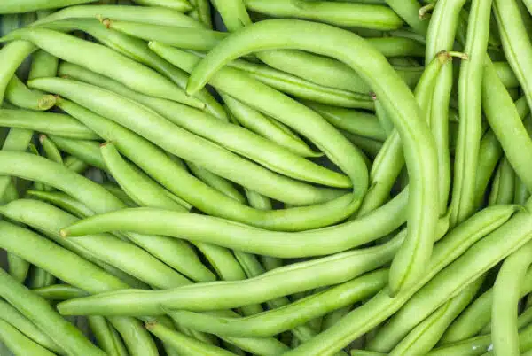 Fine Beans