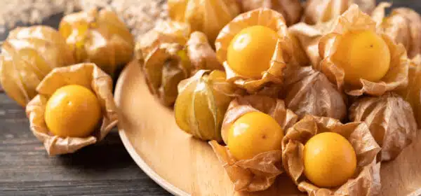 Golden Berries