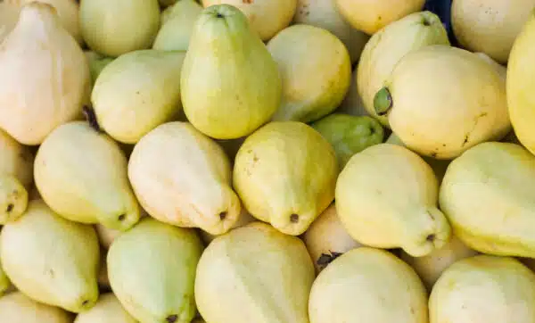 Guava