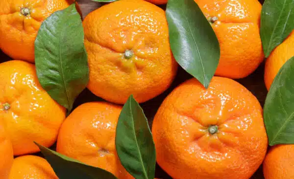 Mandarins