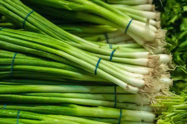 Spring Onions